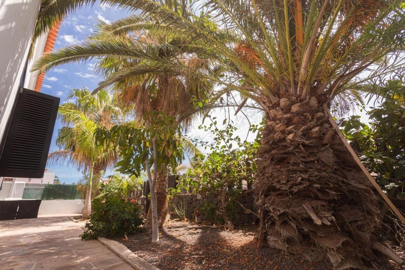 La Quinta - Wonderful 4 Bed Villa-Private Pool San Miguel de Abona Exterior photo